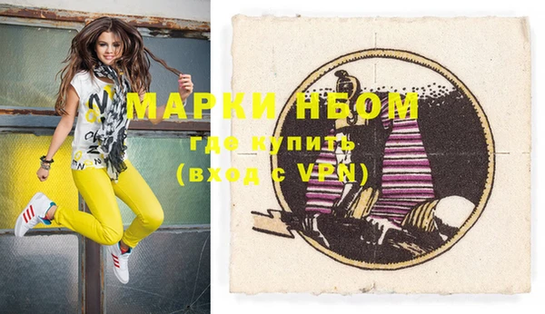 гашик Новозыбков