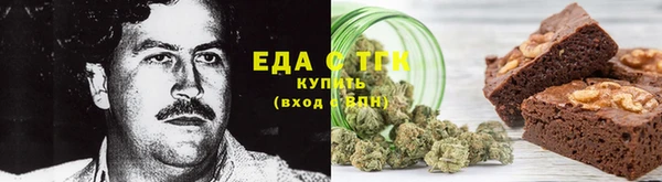 гашик Новозыбков