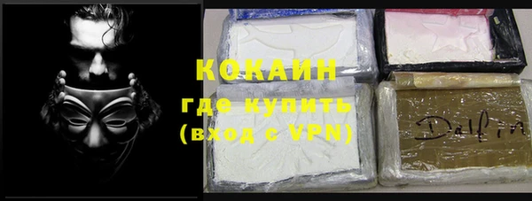 гашик Новозыбков