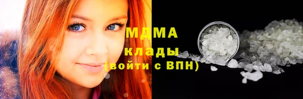 гашик Новозыбков
