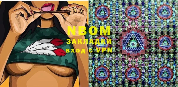 гашик Новозыбков