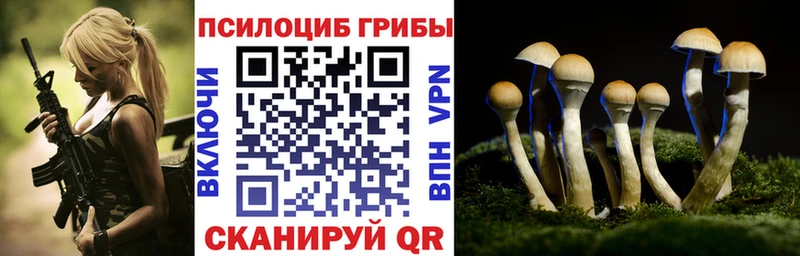 цены наркотик  Чита  Галлюциногенные грибы ЛСД 